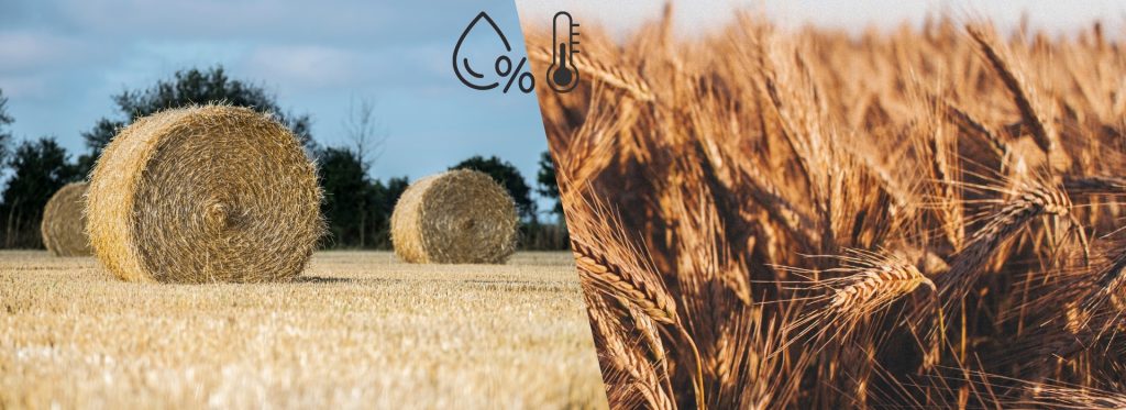 Guida al monitoraggio di umidità e temperatura di fieno e foraggio