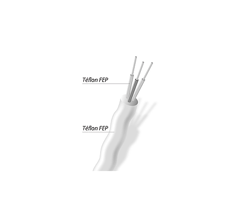 Cavo Pt100 PFA/PFA - cod. TT-PT